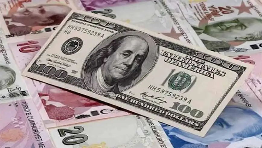 در ترکیه لیر ببریم یا دلار