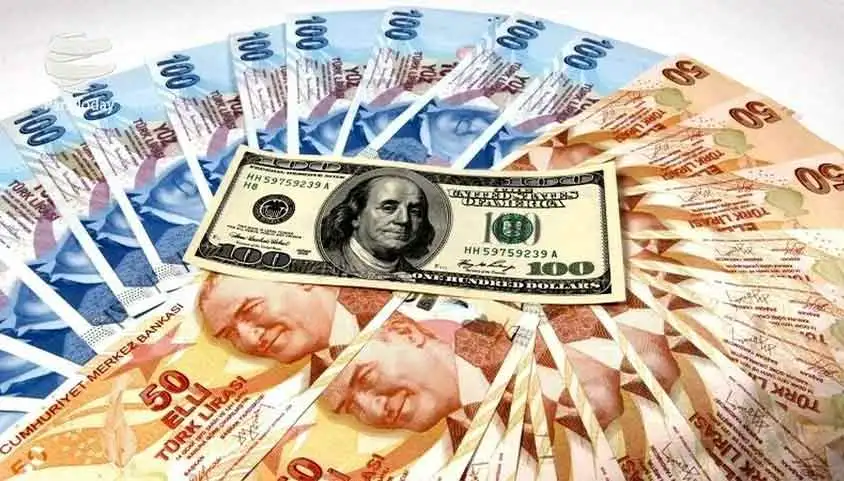 برای استانبول رفتن لیر ببریم یا دلار